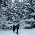 Transferts de Grenoble aéroport à Les Deux Alpes dès 26 €
 - Skier, les bonnes stations